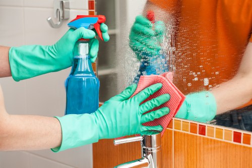 Professional move in cleaning supplies arranged for kitchen and bathroom cleaning