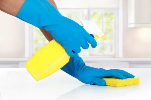 Professional window cleaning on a bright home exterior