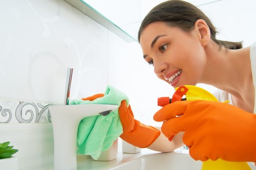Domestic cleaning essentials in a modern home