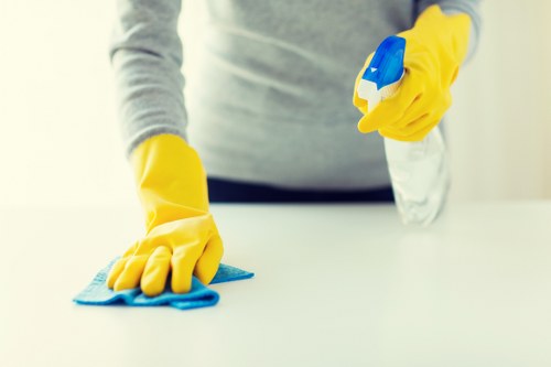 Bathroom hygiene tasks as part of domestic cleaning