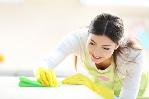 Deep house cleaning tools for kitchen and bathroom care
