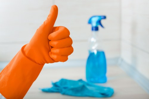 Window cleaning tools and supplies arranged for use
