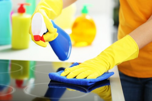 Daily house cleaning routine checklist in a modern home