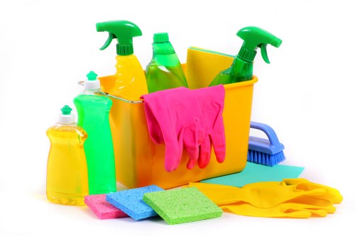Checklist and cleaning tools for preparing a new home before moving in